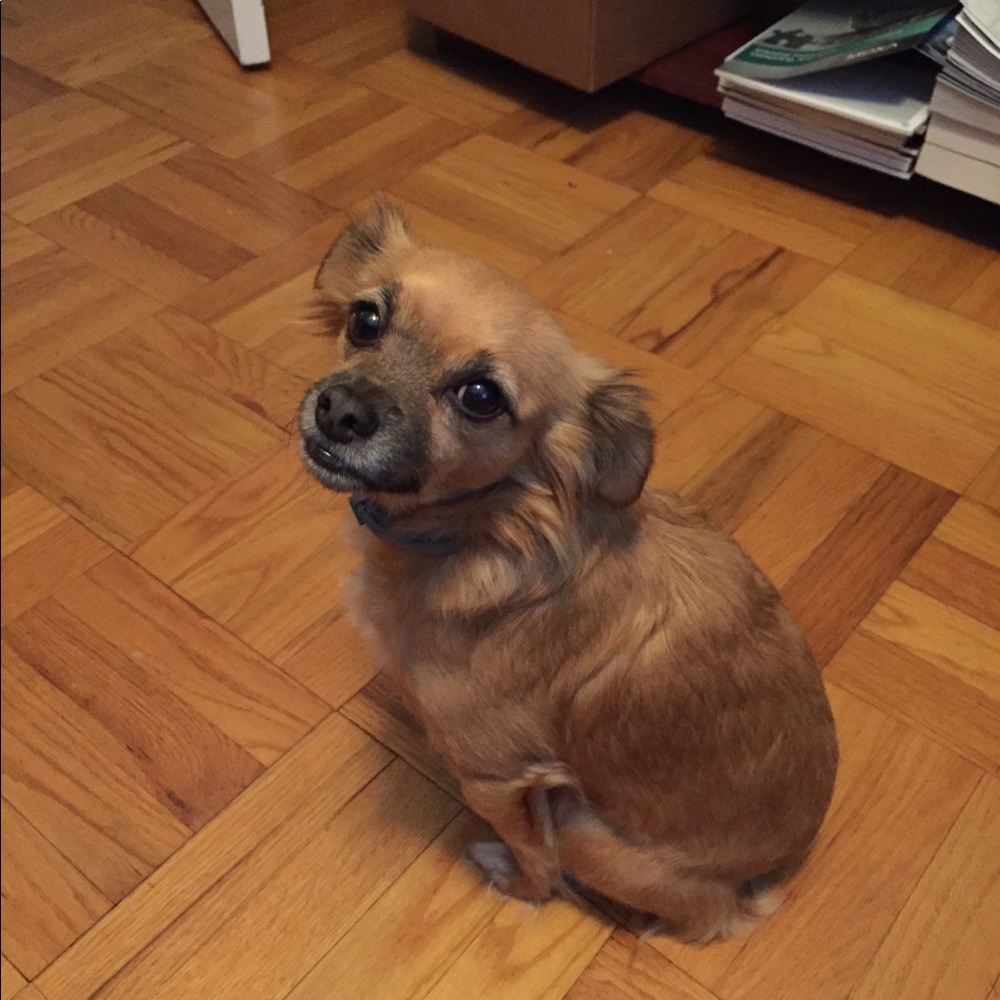 Meet your Posher, Nancy